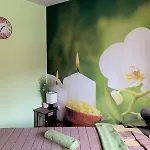 Panorama Апартаменты *