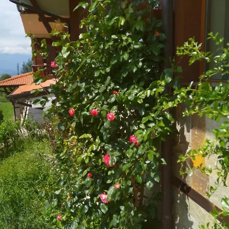 Panorama Апартаменты Банско