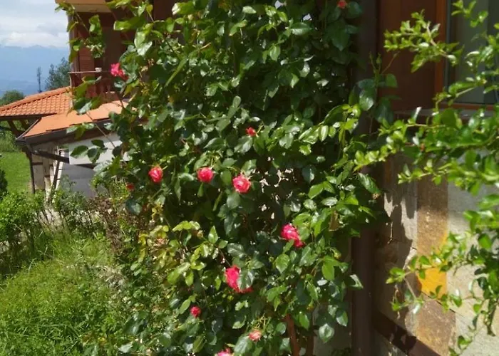 Panorama Апартаменты Банско